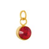 Stainless Steel Gold Plated Birthstone Charm PJ198G-1 VNISTAR Metal Charms