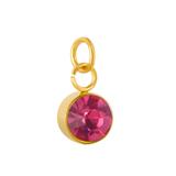 Stainless Steel Gold Plated Birthstone Charm PJ198G-10 VNISTAR Metal Charms