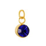 Stainless Steel Gold Plated Birthstone Charm PJ198G-11 VNISTAR Link Charms