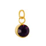 Stainless Steel Gold Plated Birthstone Charm PJ198G-4 VNISTAR Link Charms