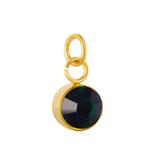 Stainless Steel Gold Plated Birthstone Charm PJ198G-5 VNISTAR Link Charms