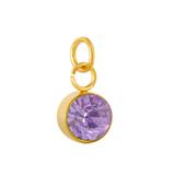 Stainless Steel Gold Plated Birthstone Charm PJ198G-8 VNISTAR Metal Charms