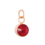 Stainless Steel Rose Gold Plated Birthstone Charm PJ198R-1 VNISTAR Link Charms