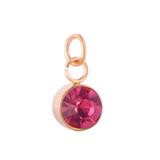 Stainless Steel Rose Gold Plated Birthstone Charm PJ198R-10 VNISTAR Metal Charms