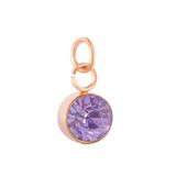 Stainless Steel Rose Gold Plated Birthstone Charm PJ198R-8 VNISTAR Metal Charms